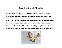 Core Montessori Principles Poster